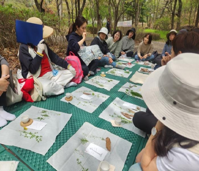 용인특례시 상현도서관, ‘숲 테라피’ 프로그램 운영