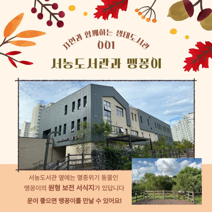 자연과 함께하는 생태도서관
001 서농도서관과 맹꽁이
서농도서관 전경
서농도서관 옆에는 멸종위기 동물인
맹꽁이의 원형 보전 서식지가 있답니다.
운이 좋으면 맹꽁이를 만날 수 있어요!
서식지 사진