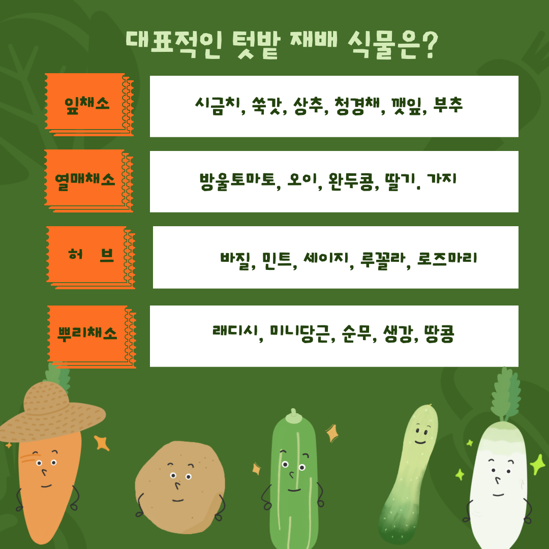 카드뉴스3