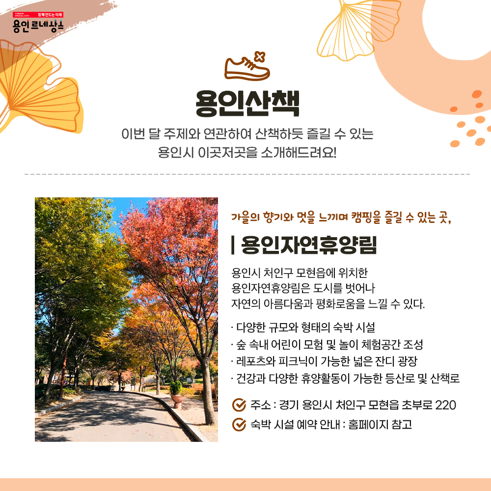 함께만드는 미래 용인르네상스
용인산책
이번 달 주제와 연관하여 산책하듯 즐길 수 있는 용인시 이곳저곳을 소개해드려요!
가을의 향기와 멋을 느끼며 캠핑을 즐길 수 있는 곳
용인 자연휴양림
용인시 처인구 모현읍에 위치한 용인자연휴양림은 도시를 벗어나 자연의 아름다움과 평화로움을 느낄 수 있다.
다양한 규모와 형태의 숙박 시설
숲 속 내 어린이 모험 및 놀이 체험공간 조성
레포츠와 피크닉이 가능한 넓은 잔디 광장
건강과 다양한 휴양활동이 가능한 등산로 및 산책로
주소 경기 용인시 처인구 모현읍 초부로 220
숙박 시설 예약 안내
홈페이지 참고