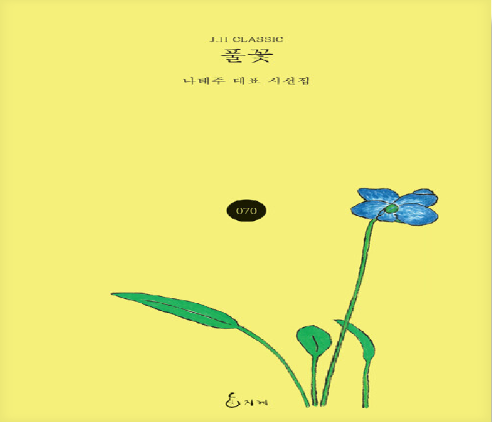 풀꽃 : 나태주 대표 시선집