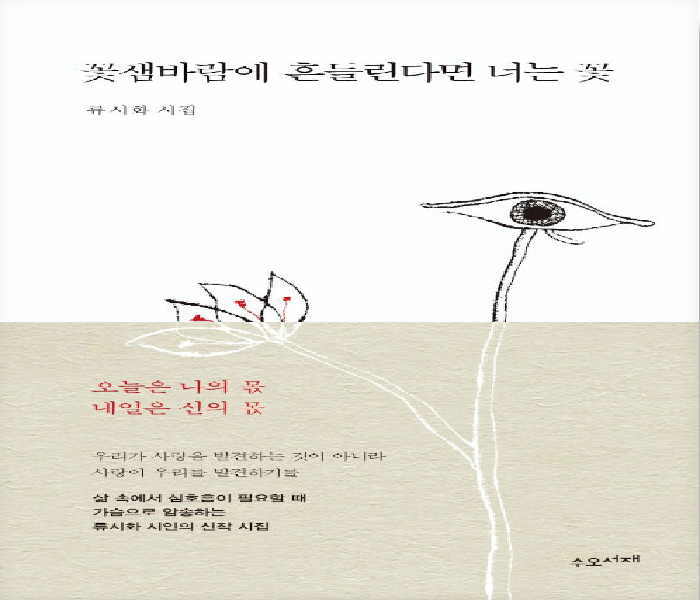 꽃샘바람에 흔들린다면 너는 꽃 : 류시화 시집