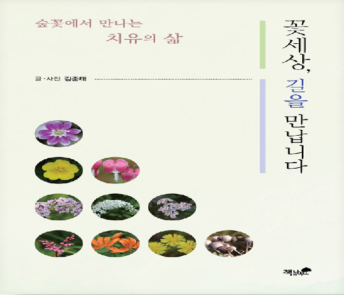 꽃세상, 길을 만납니다 : 숲꽃에서 만나는 치유의 삶