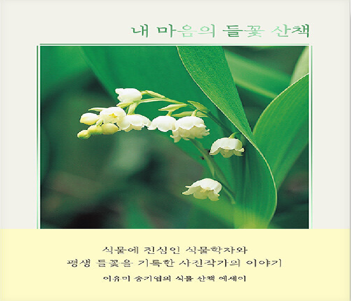 내 마음의 들꽃 산책 : 이유미 송기엽의 식물 산책 에세이