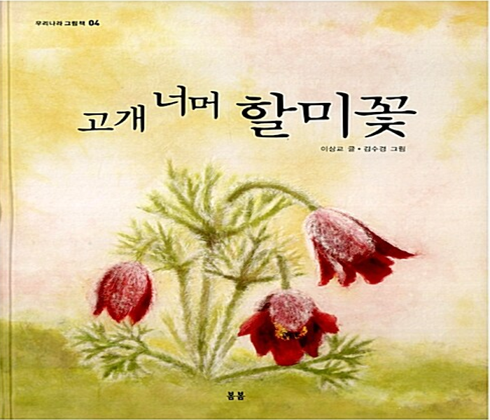 고개 너머 할미꽃