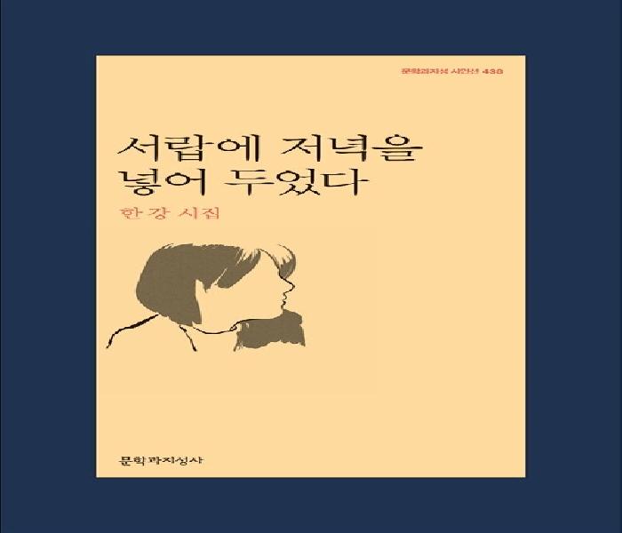서랍에 저녁을 넣어 두었다 : 한강 시집