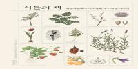 식물의 책 : 식물세밀화가 이소영의 도시식물 이야기